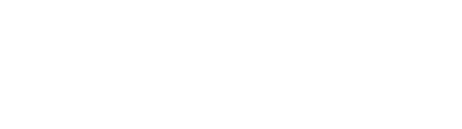 Detox 911