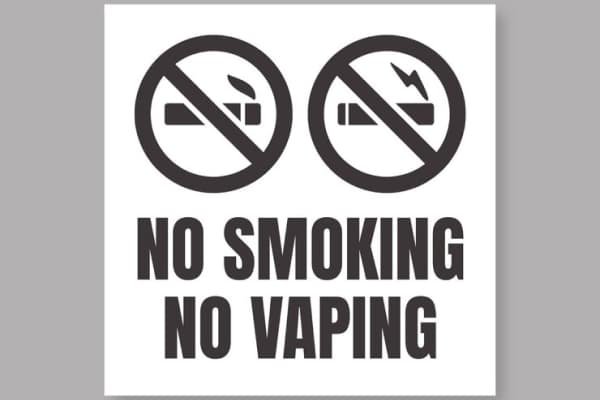 Decoding Vapes: Navigating the Landscape of E-Cigarettes Decoding Vapes: Navigating the Landscape of E-Cigarettes